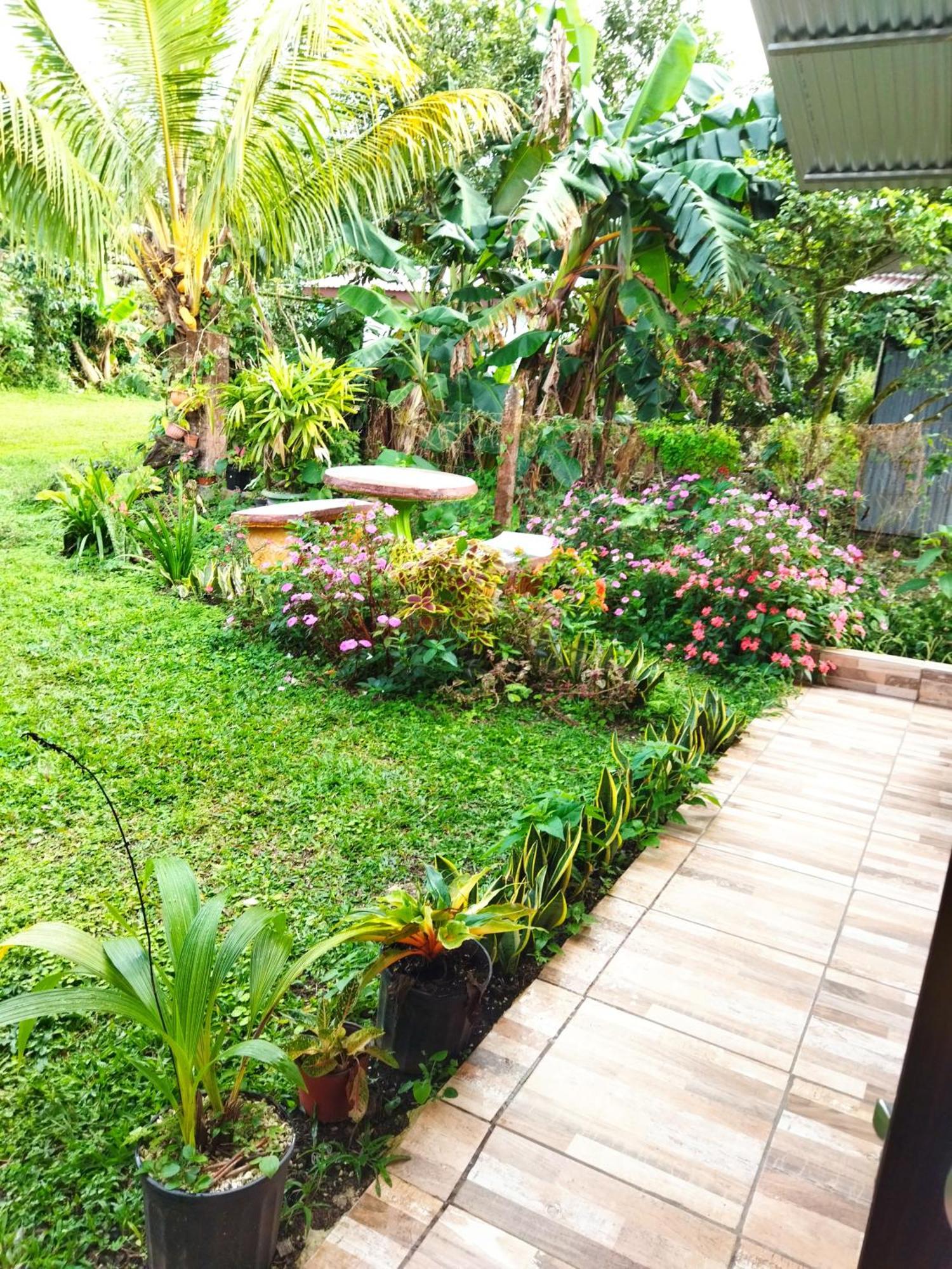 Bijagua Paradise Rio Celeste 部屋 写真