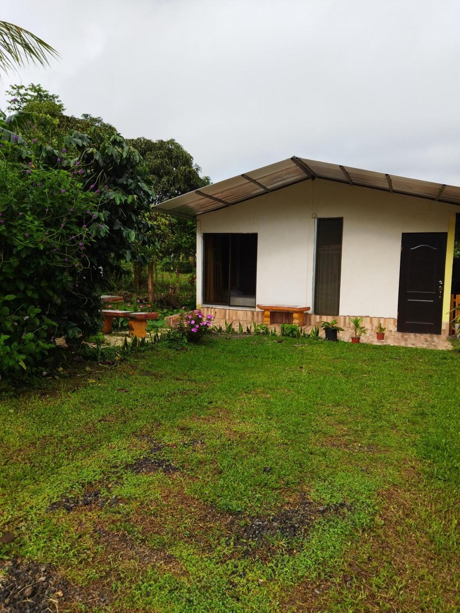 Bijagua Paradise Rio Celeste 部屋 写真